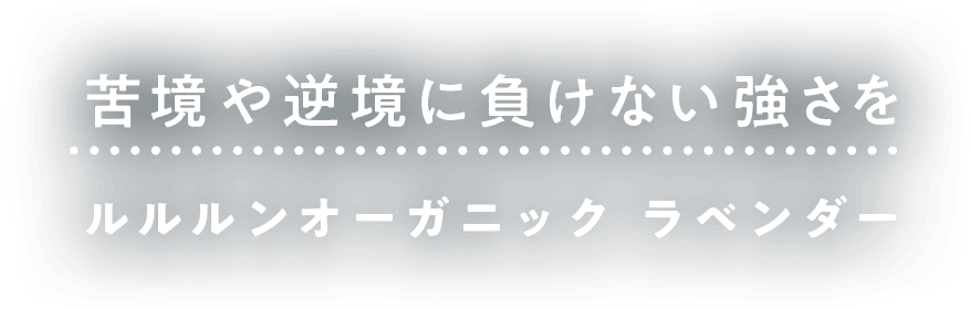 苦境や逆境に負けない強さを　ルルルンオーガニック　ラベンダー