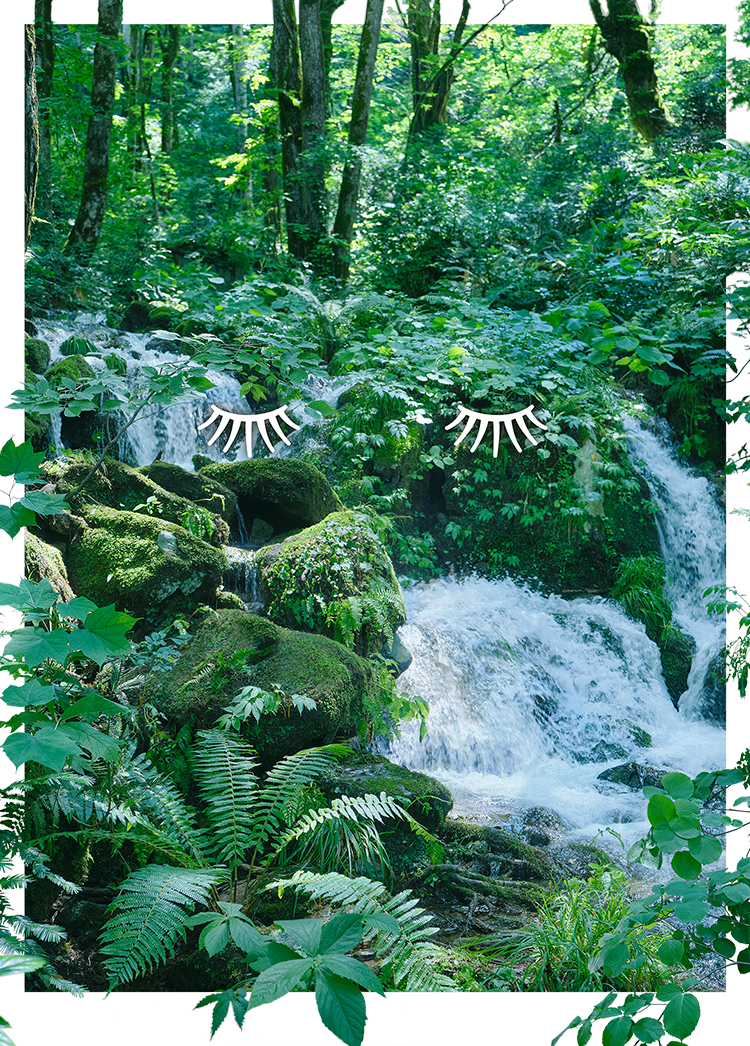 ルルルンオーガニック　デビュー