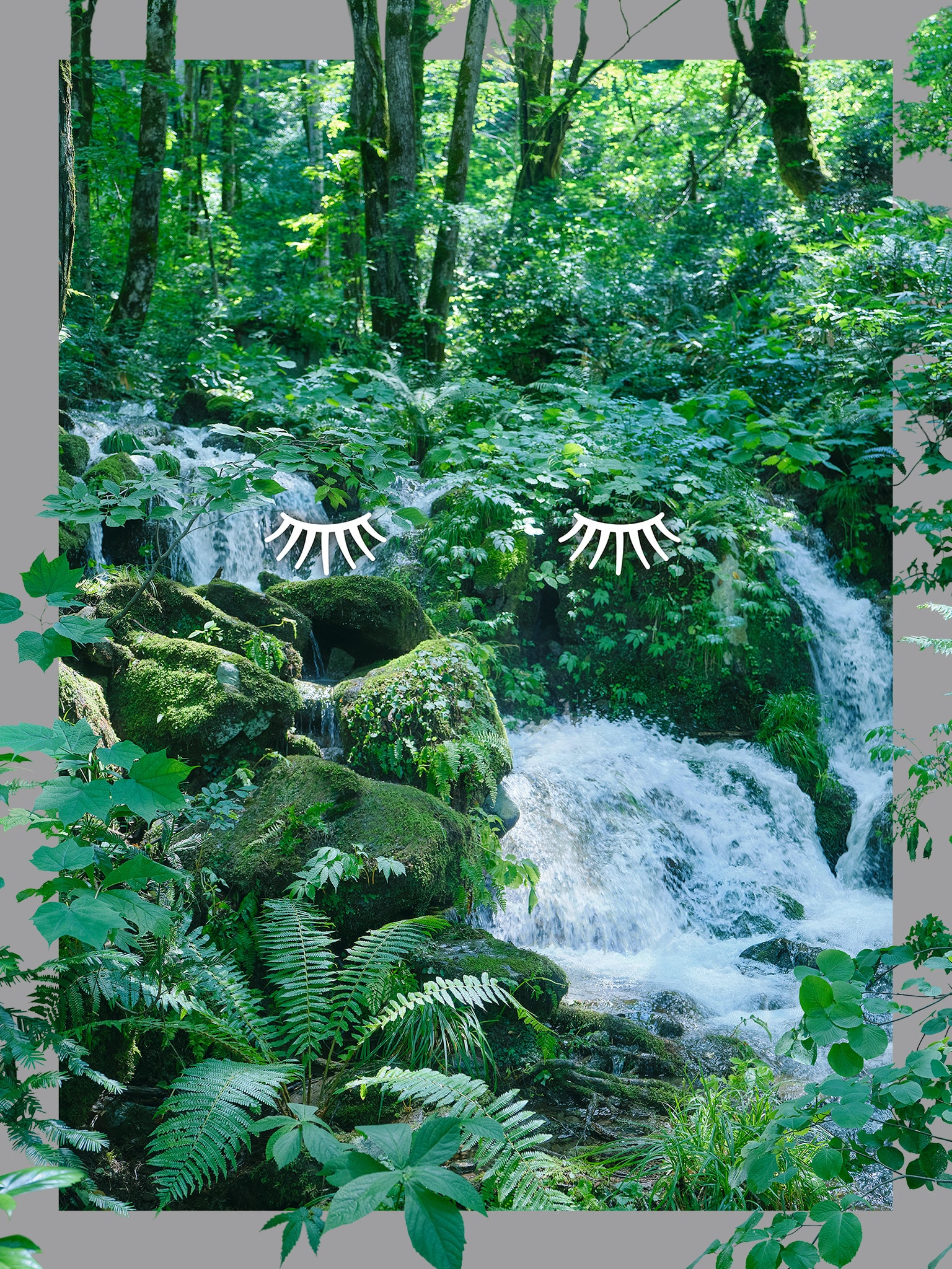 ルルルンオーガニック　デビュー