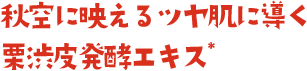秋空に映えるツヤ肌に導く栗渋皮発酵エキス＊