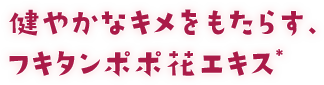 健やかなキメをもたらす、フキタンポポ花エキス＊