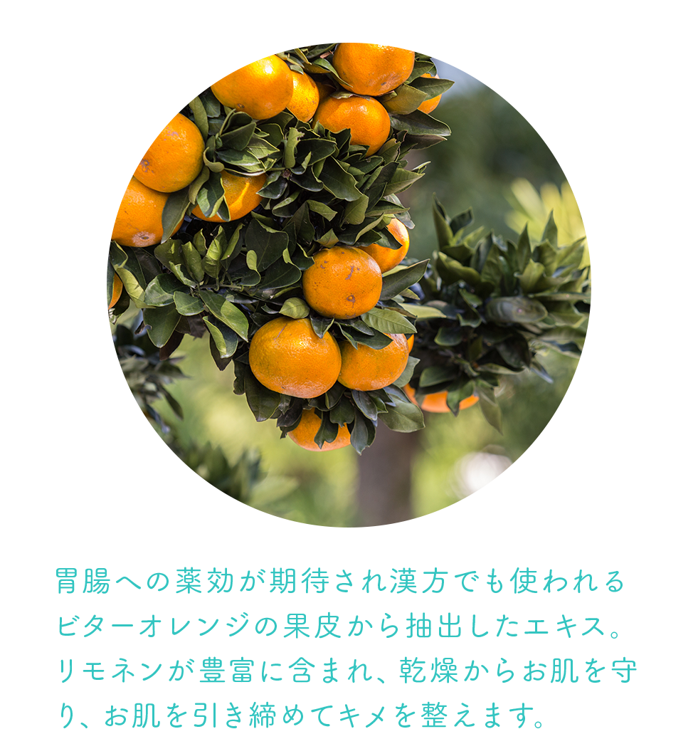 ビターオレンジ果皮エキス