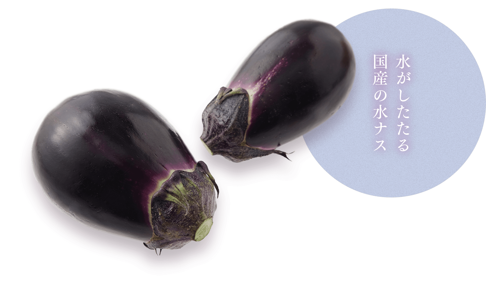 長野県千曲生まれのアンズ果実エキス