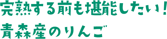 完熟する前も堪能したい！青森産のりんご