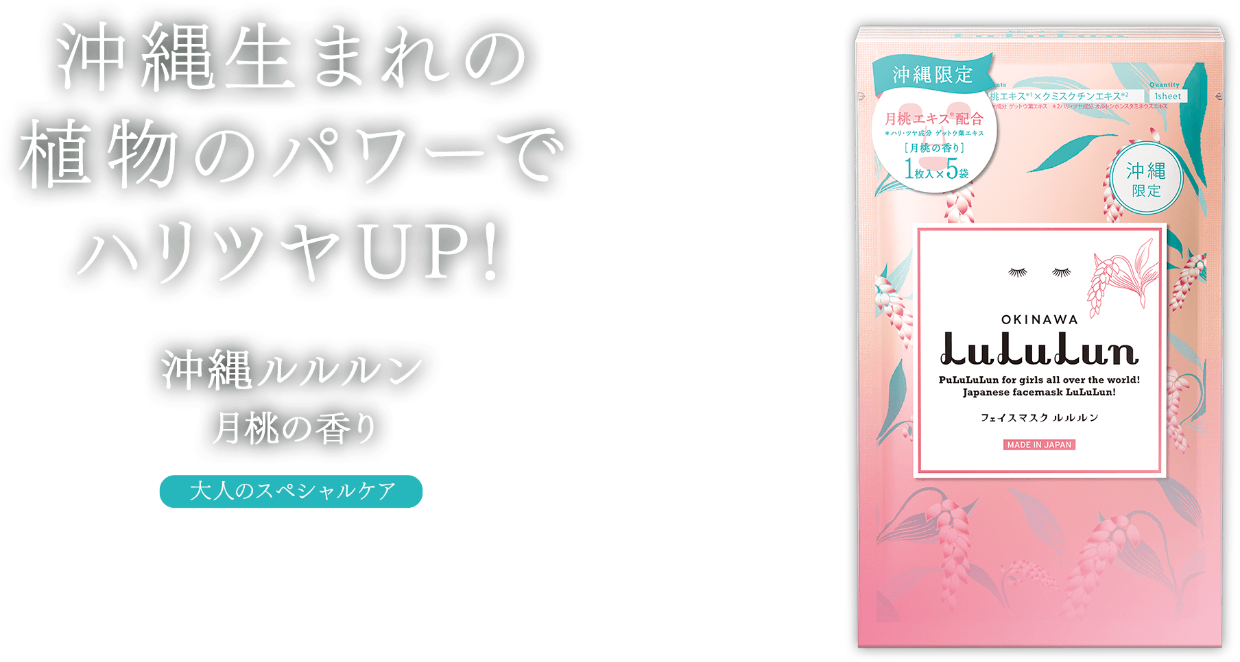 北海道生まれのフルーツパワーでしっとり肌へ！