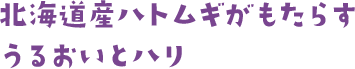 北海道産ハトムギがもたらすうるおいとハリ