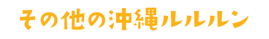 その他の沖縄のプレミアムルルルン