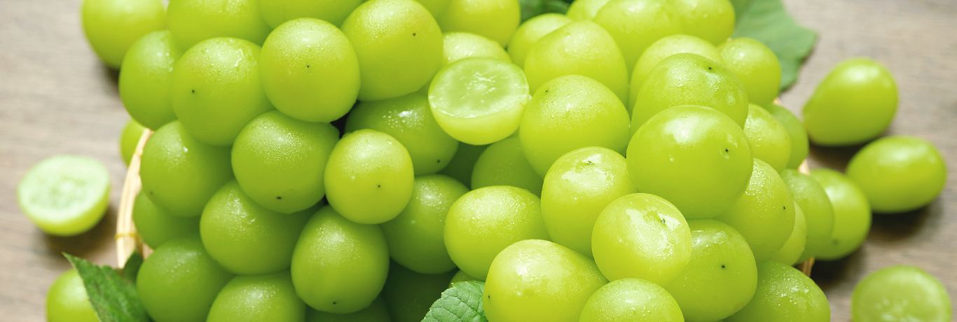 シャインマスカット