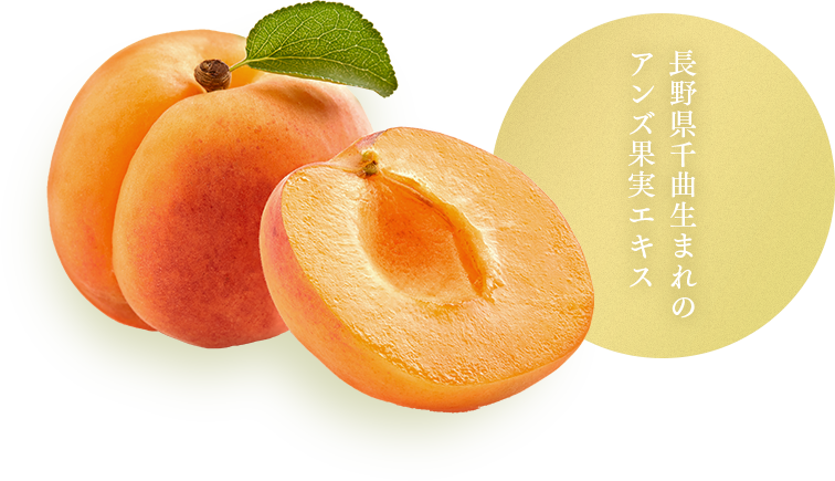 長野県千曲生まれのアンズ果実エキス